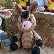 Burrinho